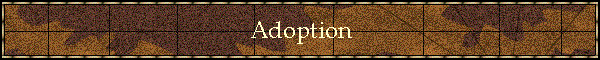 Adoption