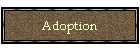 Adoption