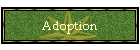 Adoption