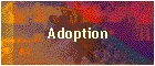 Adoption