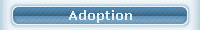 Adoption