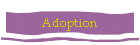 Adoption